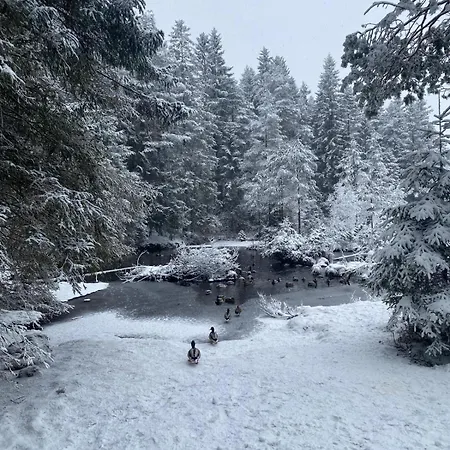 Cristina - Suedbalkon Mit Bergblick Apartmán *