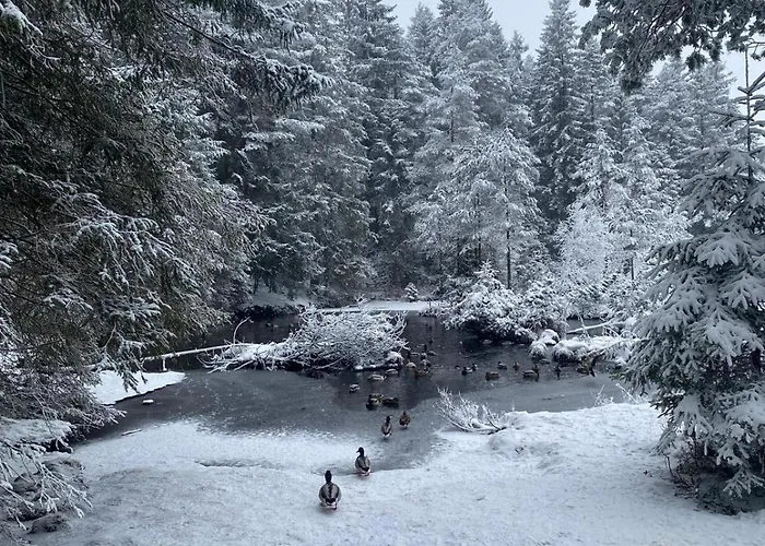 Cristina - Suedbalkon Mit Bergblick Appartement *